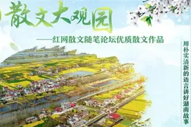 又是一年秋，又是一夜的愁，漂泊的游子倾诉着思念图片
