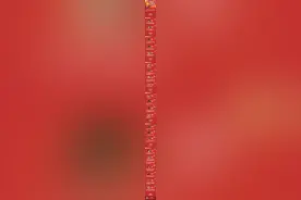 收藏！历届奥运冠军（山东版）合集，快来看看有没有你老乡图片