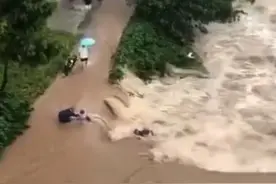 瞬间救人一命！四川渠县洪水中救人黑衣男子李建军获“天天正能量”特别奖图片