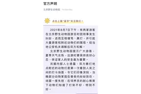 人不学好，动物真的会效仿吗？图片