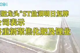 盐湖股份恢复上市，复牌大涨343%，总市值高达2130亿视频封面