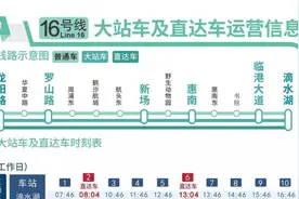 上海地铁回应16号线改卧铺呼吁：建议乘坐大站车或直达车视频封面