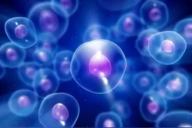 生物 | 人体细胞是如何发“电报”的？图片