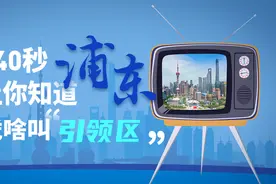 浦东何以成为“引领区”？与之前有啥不同？视频封面