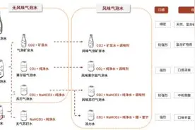 赛道研究｜气泡水：口感升级，健康风尚图片