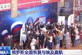 时隔近6年 俄罗斯全面恢复与埃及直航图片