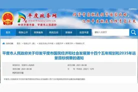 平度市十四五规划正式印发，揭秘编制背后故事图片