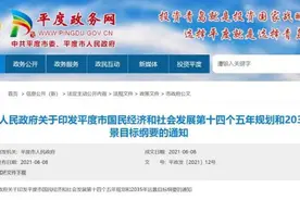 平度市十四五规划正式印发，揭秘编制背后故事图片