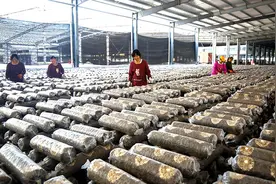 湖北：英雄之地开启新程 破冰突围绿色崛起图片