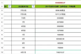 独家｜欠下千万债款、紧急转型导购 母婴电商贝贝还来得及吗？图片