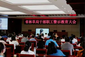 云南省林草局组织集中观看《开尔行贿记》警示片图片