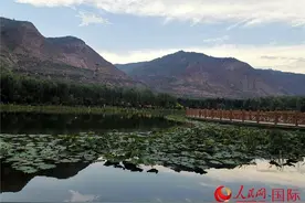 “在西宁生活真的很幸福”图片