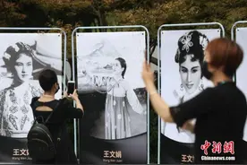 玫瑰送别“林妹妹”：从此千里共婵娟图片