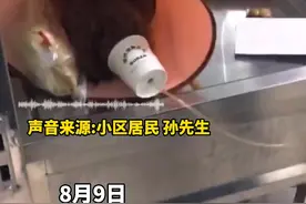 哈尔滨一小区13只猫狗疑食毒火腿肠身亡，业主悬赏1.5万征集线索图片