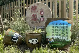 “最差”乡村院落换新颜 一起揭开“蝶变密码”图片
