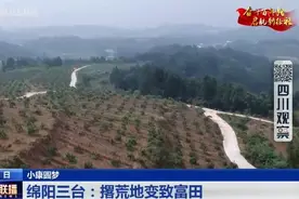 四川新闻联播丨小康圆梦——绵阳三台：撂荒地变致富田图片