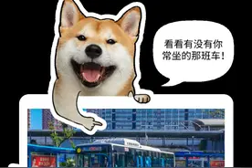 明天起，深圳这25条公交线路有调整图片