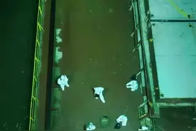 救援弘进轮：20名船员被困海上10天9夜，16人核酸检测呈阳性，9人暂留船治疗图片