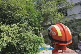 太吓人！男子砍树枝时不慎触碰高压线，现场白烟直冒图片