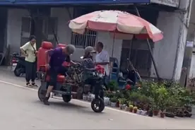 真拉风！大爷自制“全自动三轮车”，有“美女司机”还有真皮座椅图片