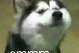 辣眼！阜阳一大爷把这塞进肛门图片