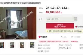 深圳一豪宅4010万元司法拍卖，业主系A股老板，房产为自家开发图片