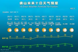 广东省教育厅出手了！发现请举报丨佛山早班车图片
