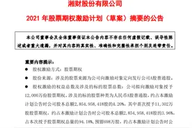 稳人才！湘财股份启动股权激励计划，激励对象包括董事长等331人，行权参照湘财证券业绩与风控图片