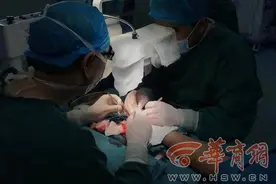 小伙突遭车祸双臂“筋脉尽断”精心治疗基本恢复功能图片