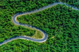 金坛茅山：筑造“生态路”招引“八方客”图片