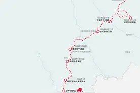 大象，回家了图片