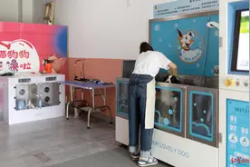 20元可洗半小时！自助宠物洗澡店登陆成都，消费者买账吗？图片