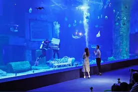 七夕将至，情侣在广州景区上演浪漫海底求婚图片