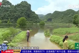 清远：田地道路被浸近四个月 生活生产大受影响视频封面