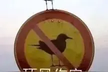 “烫个头回来连物种都变了？”哈哈哈哈托尼老师和你有仇吗图片