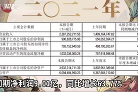 30秒|《摩尔庄园》一月吸粉3000万，运营方吉比特上半年净利增长超六成视频封面