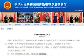中领馆提醒：槟榔被土耳其认定为毒品，请中国同胞切勿携带槟榔入境土耳其图片