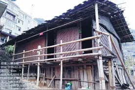 民族时报丨特别关注·云南少数民族的生态智慧之五丨怒族“神山”“神树”与尊尚自然图片