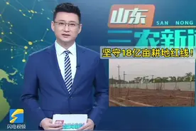 坚守18亿亩耕地红线！视频封面