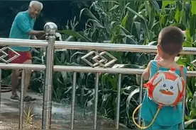 务农回来，爷爷给孙女带了一把野果，网友：看到颤抖的双手鼻子酸了图片