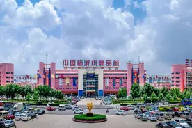 一定要去临沂，赶一场中国大集图片