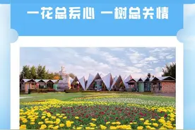 一花总系心 一树总关情——首都园林绿化能工巧匠故事图片