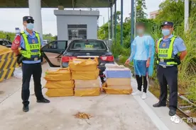 小编已吓晕！民警拦下一黑色轿车，内藏3000条活眼镜蛇图片