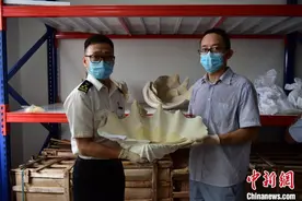 义乌海关移交近百件濒危水生野生动物及其制品图片