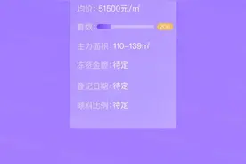 摇中一套赚千万？！红盘“王炸”杭州壹号院333㎡来了图片