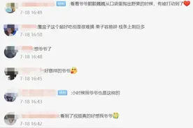 泪目！务农回来，爷爷给孙女带了一把野果…图片