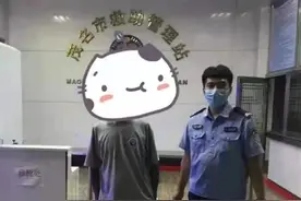 重庆男子找工无着落沦落茂名街头，茂南民警热心救助图片