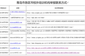 青岛人 校外培训机构举报联系方式公布图片