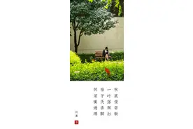 花潮｜两情若是久长时 天地无情会相见图片