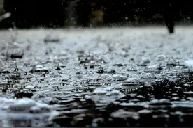 雨后蹚水不是儿戏 小心惹“毒”上身图片